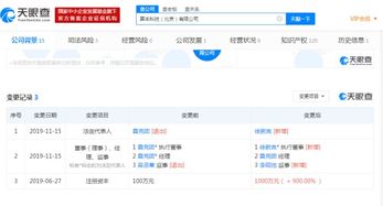 比特大陸創(chuàng)始人詹克團卸任旗下AI公司職務，計算機軟件業(yè)務或迎調整